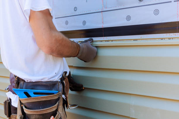 Affordable Emergency Siding Repair solutions in Western Springs, IL